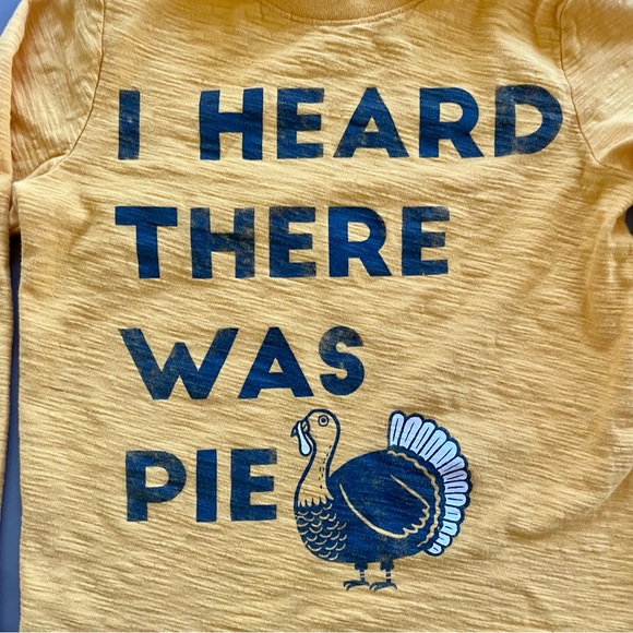 THANKSGIVING SHIRT. Excellent condition - Picture 2 of 3